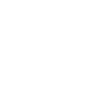 Respuesta Inmediata